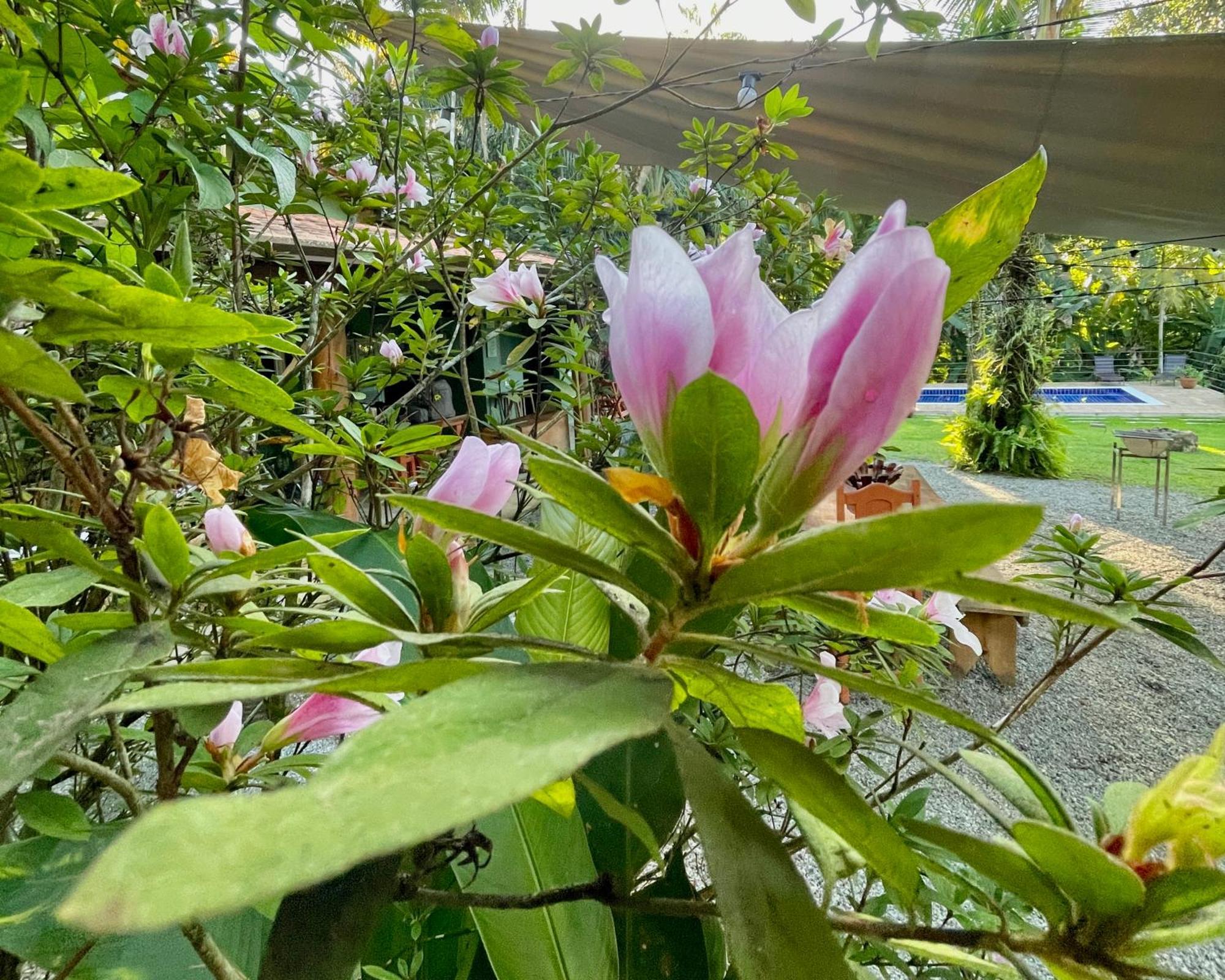 Villa Casa Park Parati Esterno foto